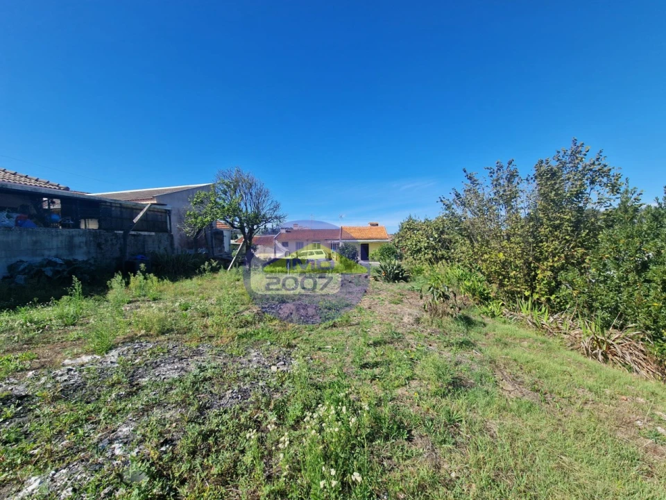 Moradia T5 para Venda em Ovar, São João, Arada e São Vicente de Pereira Jusã Foto 5