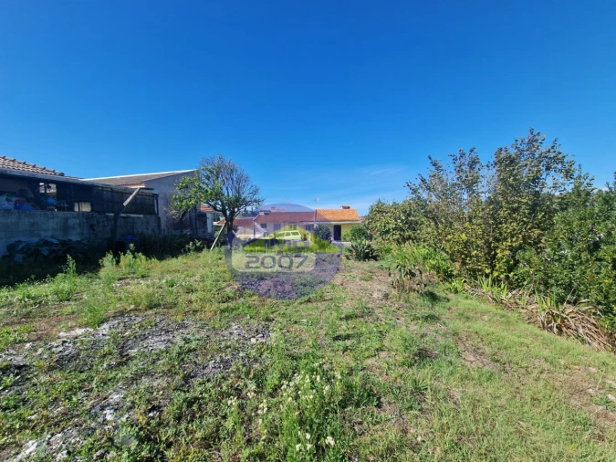 Moradia T5 para Venda em Ovar, São João, Arada e São Vicente de Pereira Jusã Foto 5