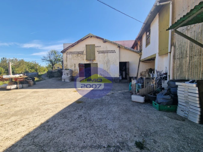 Moradia T5 para Venda em Ovar, São João, Arada e São Vicente de Pereira Jusã Foto 37