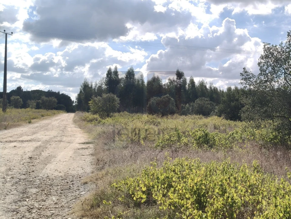 Terreno para Venda em Alpiarça Foto 7