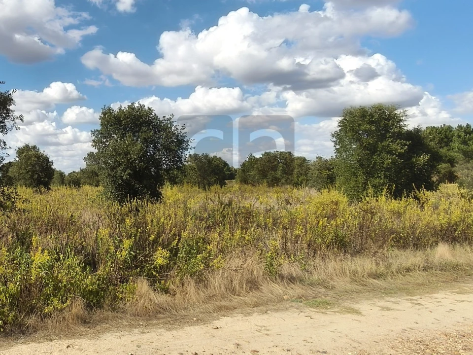 Terreno para Venda em Alpiarça Foto 20