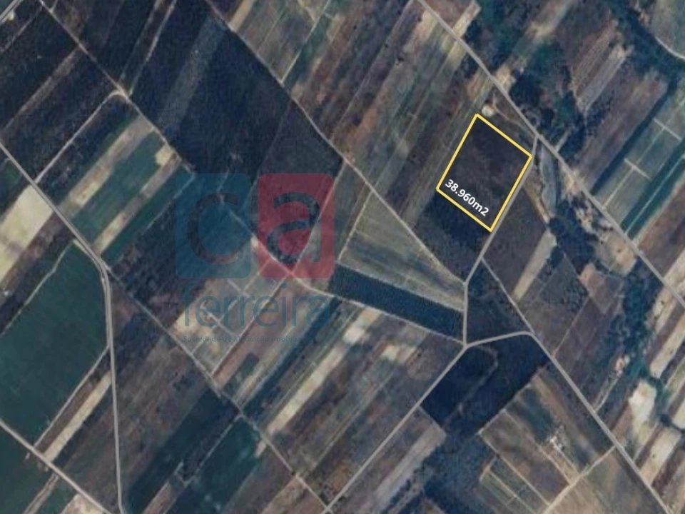Terreno para Venda em Alpiarça Foto 30