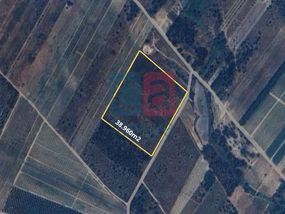 Terreno para Venda em Alpiarça Foto 31