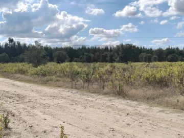 Terreno para Venda em Alpiarça