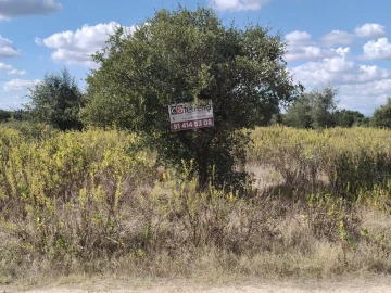 Terreno para Venda em Alpiarça