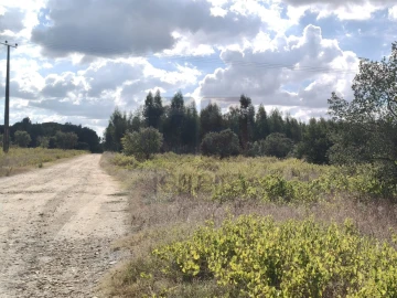 Terreno para Venda em Alpiarça