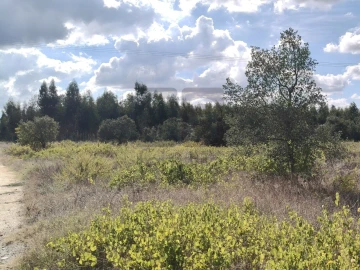 Terreno para Venda em Alpiarça
