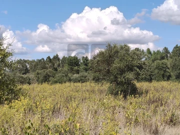 Terreno para Venda em Alpiarça