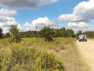 Terreno para Venda em Alpiarça