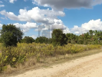 Terreno para Venda em Alpiarça