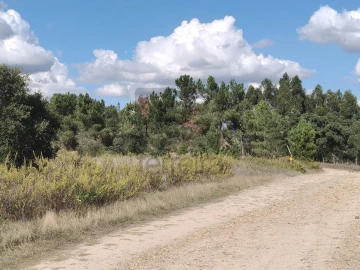 Terreno para Venda em Alpiarça