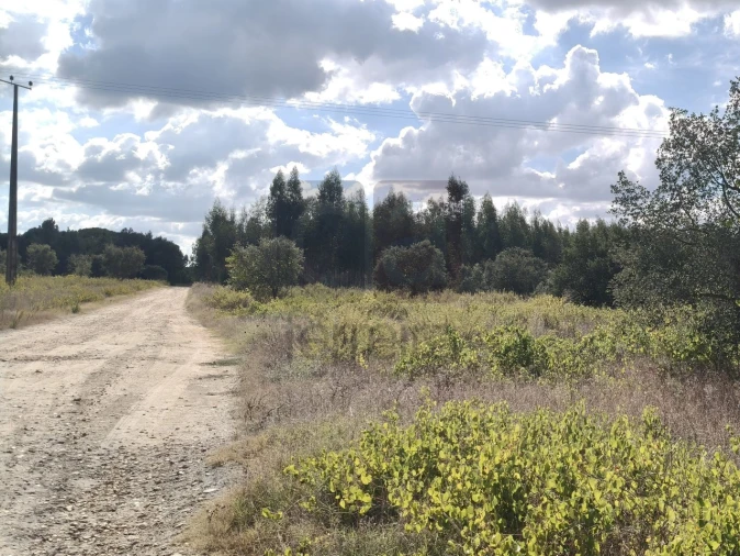 Terreno para Venda em Alpiarça Foto 7