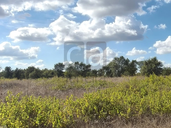 Terreno para Venda em Alpiarça Foto 28
