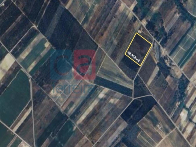 Terreno para Venda em Alpiarça Foto 30