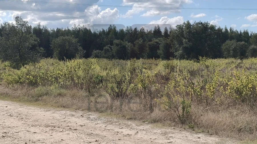Terreno para Venda em Alpiarça