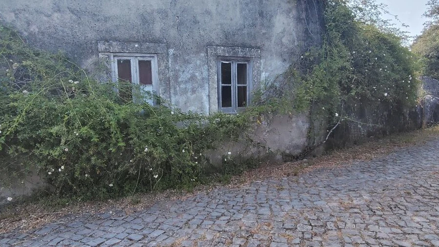 Moradia T6 para Venda em Pussos São Pedro