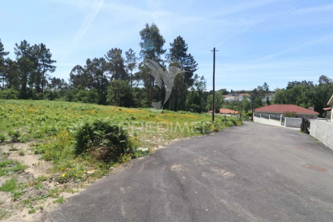 Terreno para Venda em Vila Verde e Barbudo Foto 13