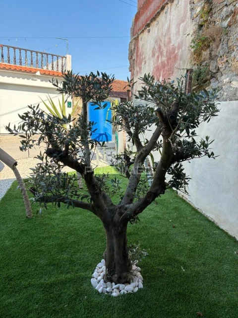 Moradia T2 para Venda em Evora de Alcobaça