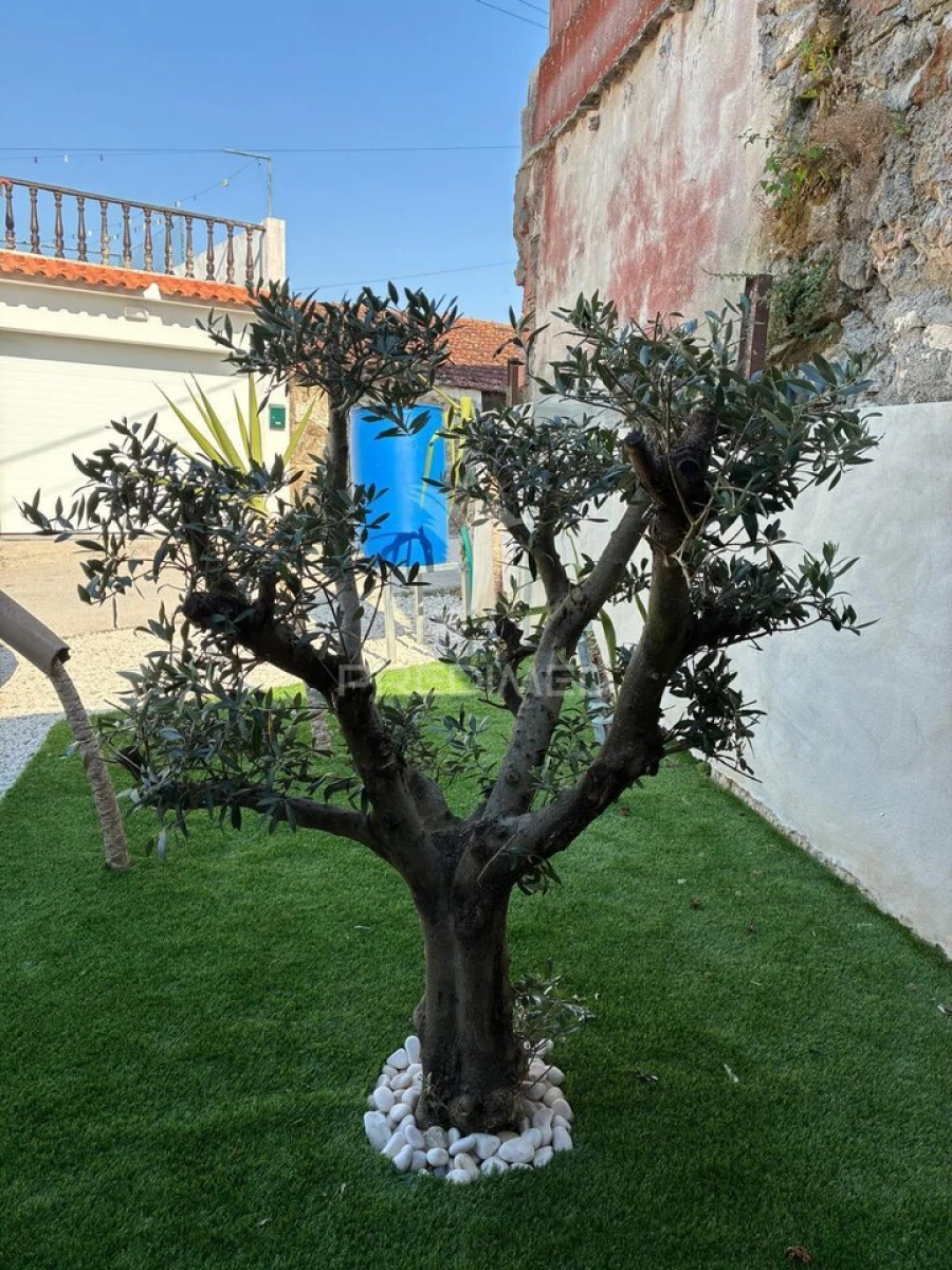 Moradia T2 para Venda em Evora de Alcobaça Foto 27
