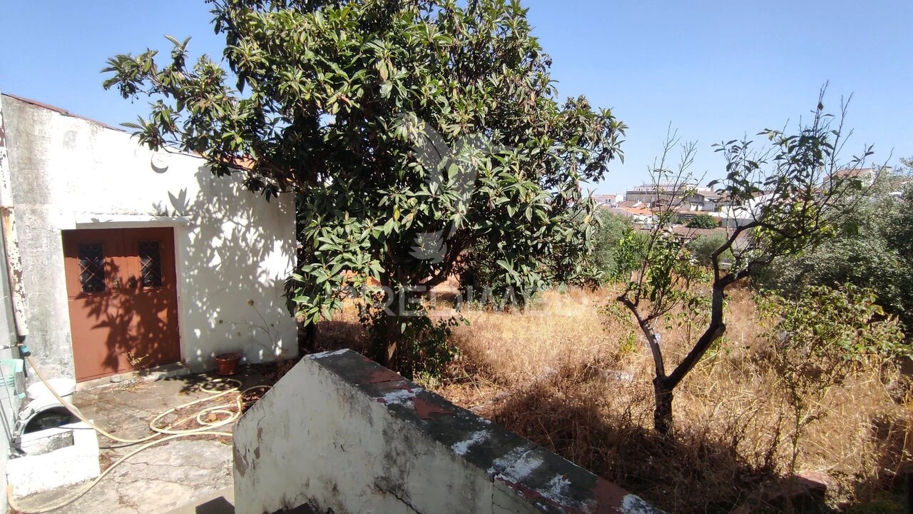 Moradia T3 para Venda em Vila de Frades Foto 19