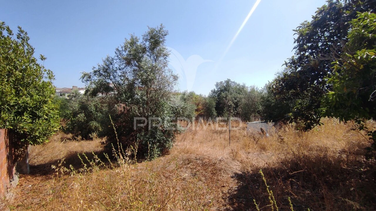 Moradia T3 para Venda em Vila de Frades Foto 22
