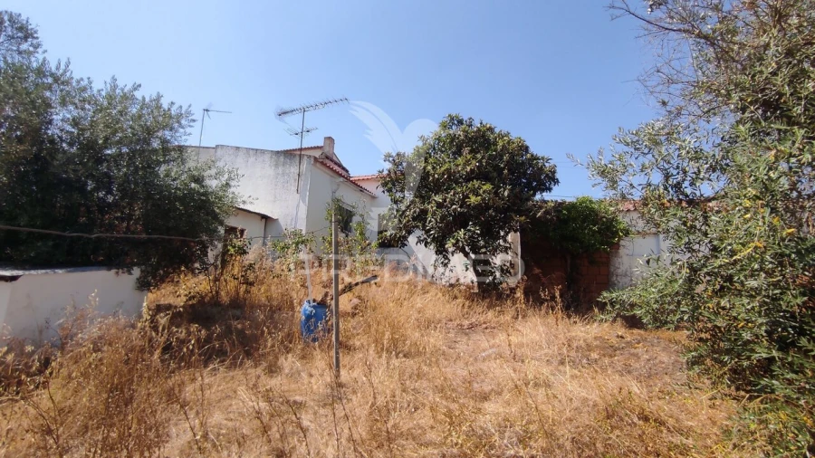 Moradia T3 para Venda em Vila de Frades Foto 23