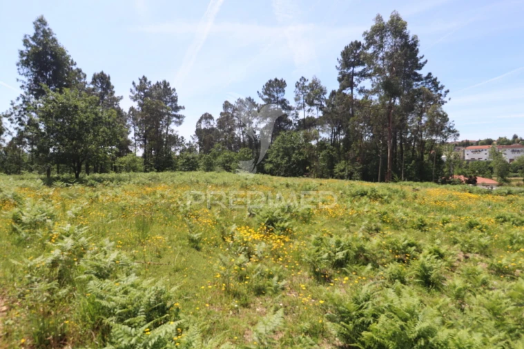 Terreno para Venda em Vila Verde e Barbudo Foto 5