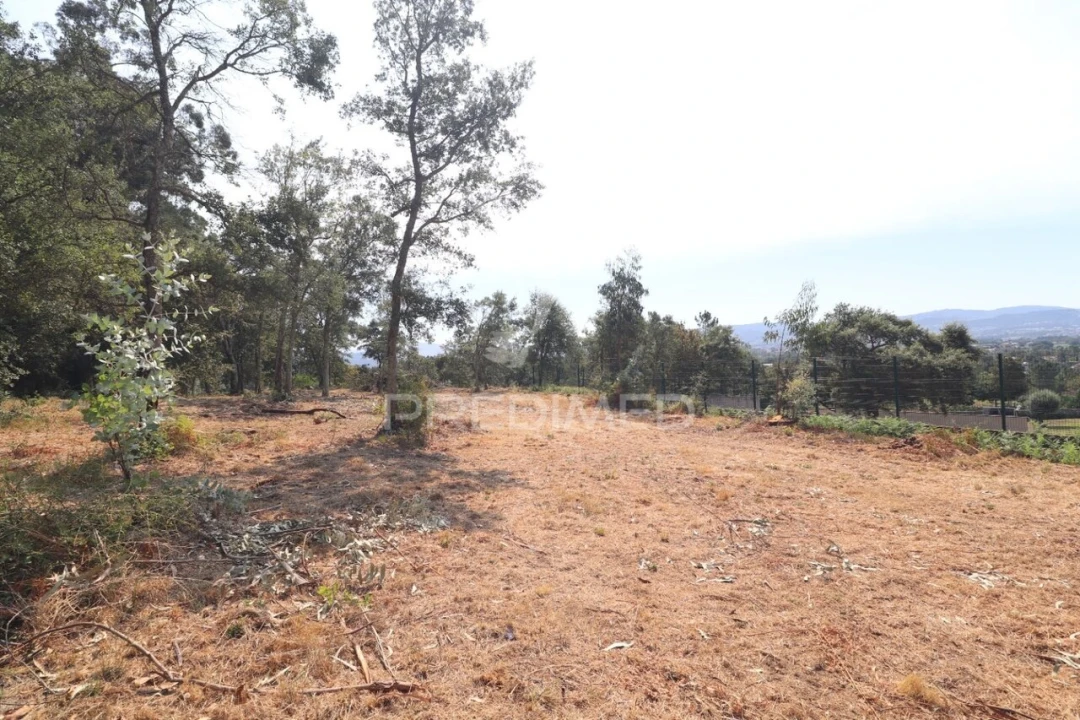 Terreno para Venda em Turiz Foto 15
