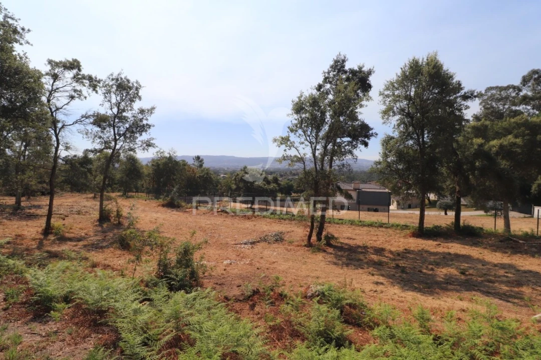 Terreno para Venda em Turiz Foto 6