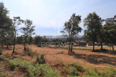 Terreno para Venda em Turiz
