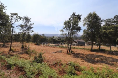 Terreno para Venda em Turiz