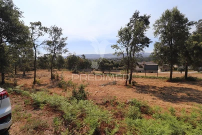 Terreno para Venda em Turiz