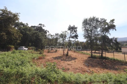 Terreno para Venda em Turiz