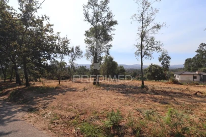 Terreno para Venda em Turiz