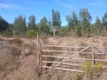 Terreno para Venda em Abela