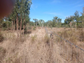 Terreno para Venda em Abela