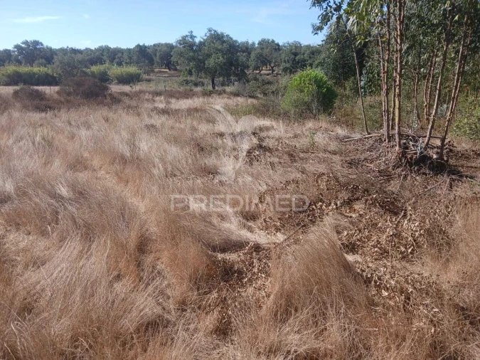 Terreno para Venda em Abela Foto 4