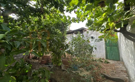 Quinta T2 para Venda em Alcoutim e Pereiro