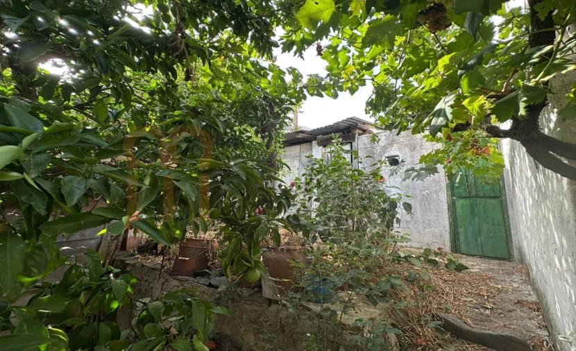 Quinta T2 para Venda em Alcoutim e Pereiro Foto 11