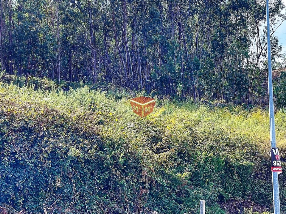 Terreno para Venda em Galegos Foto 5