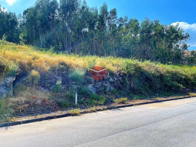 Terreno para Venda em Galegos Foto 4