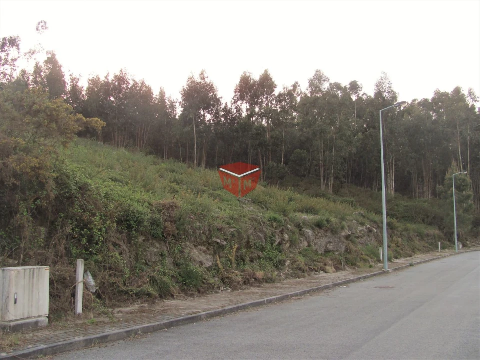 Terreno para Venda em Galegos Foto 16