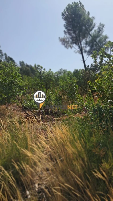 Terreno para Venda em Orvalho