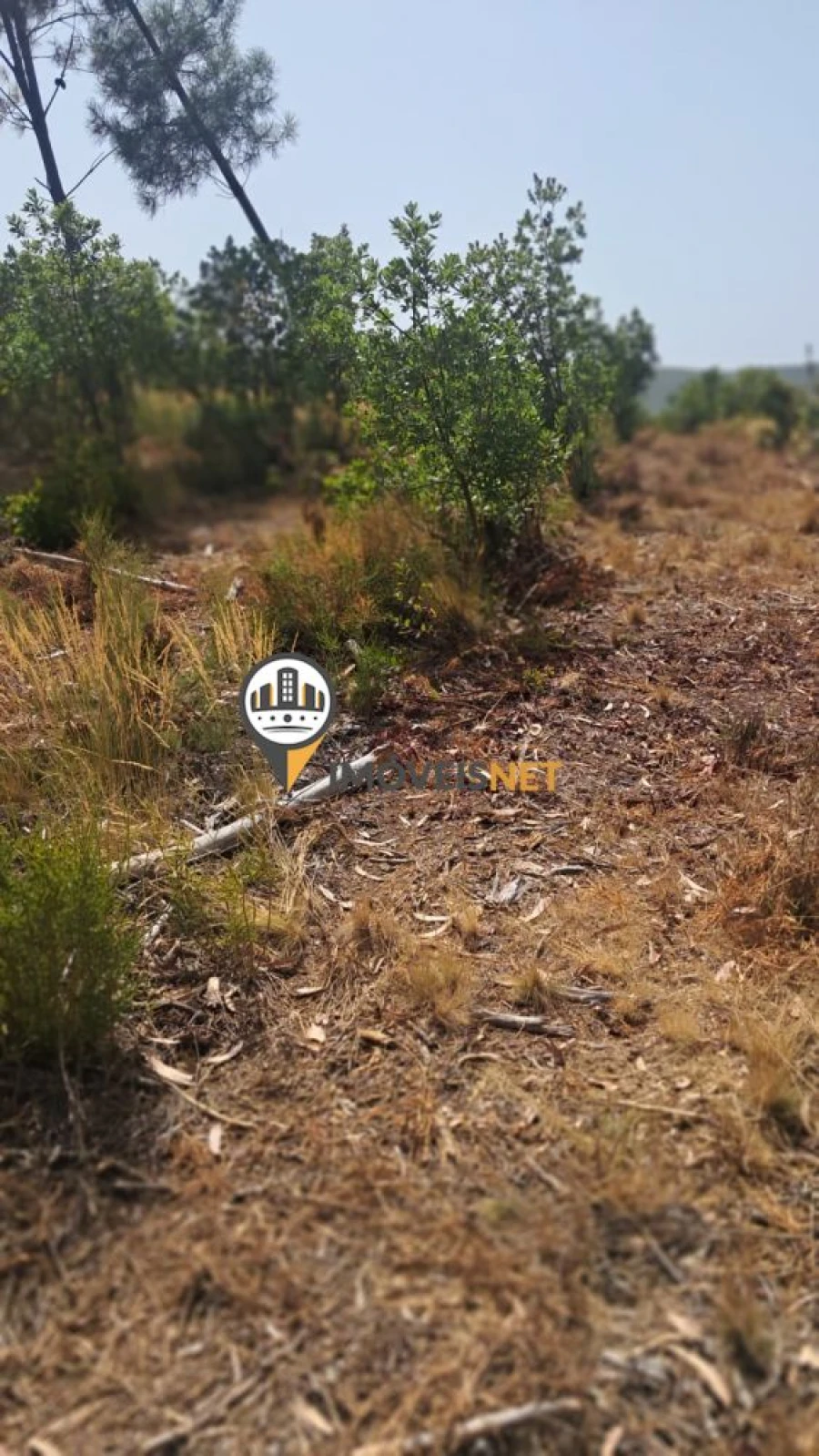 Terreno para Venda em Orvalho Foto 7