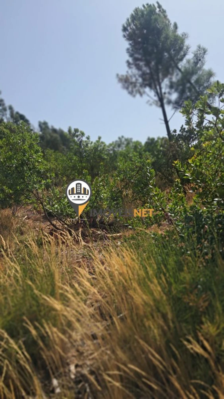 Terreno para Venda em Orvalho Foto 6