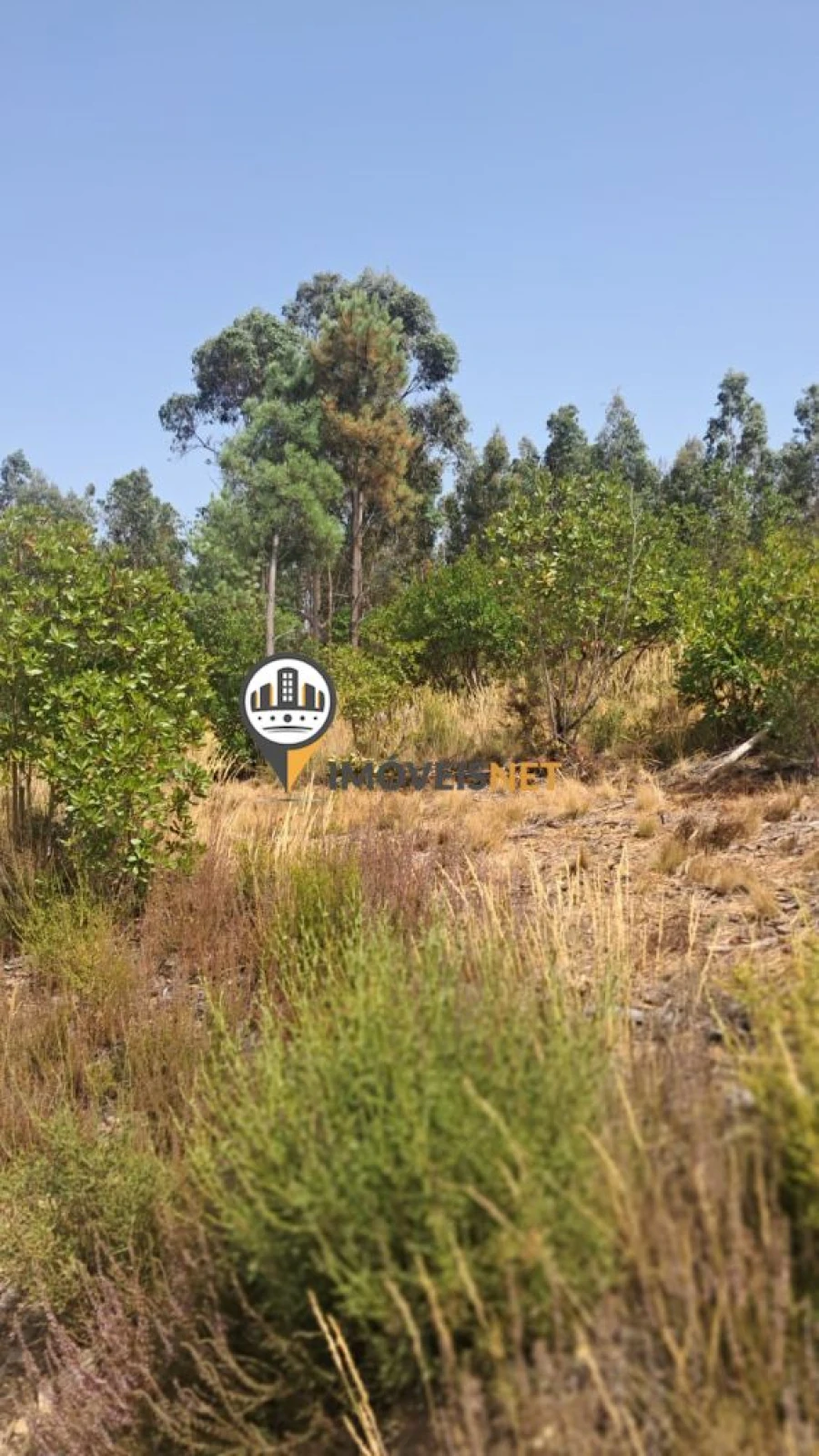 Terreno para Venda em Orvalho Foto 5