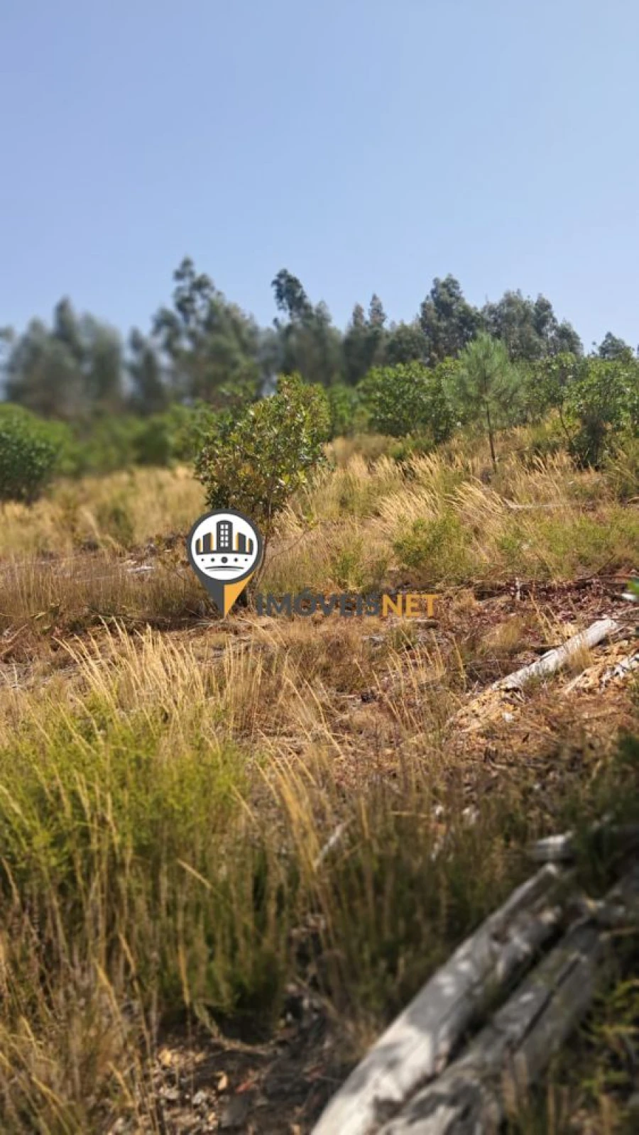 Terreno para Venda em Orvalho Foto 3