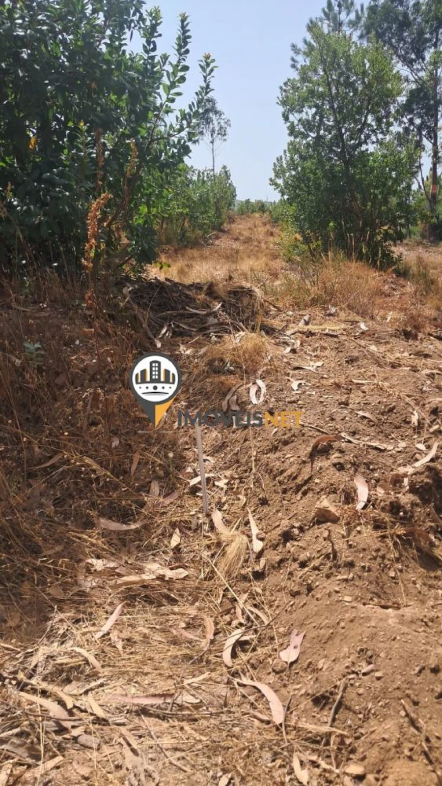 Terreno para Venda em Orvalho Foto 9