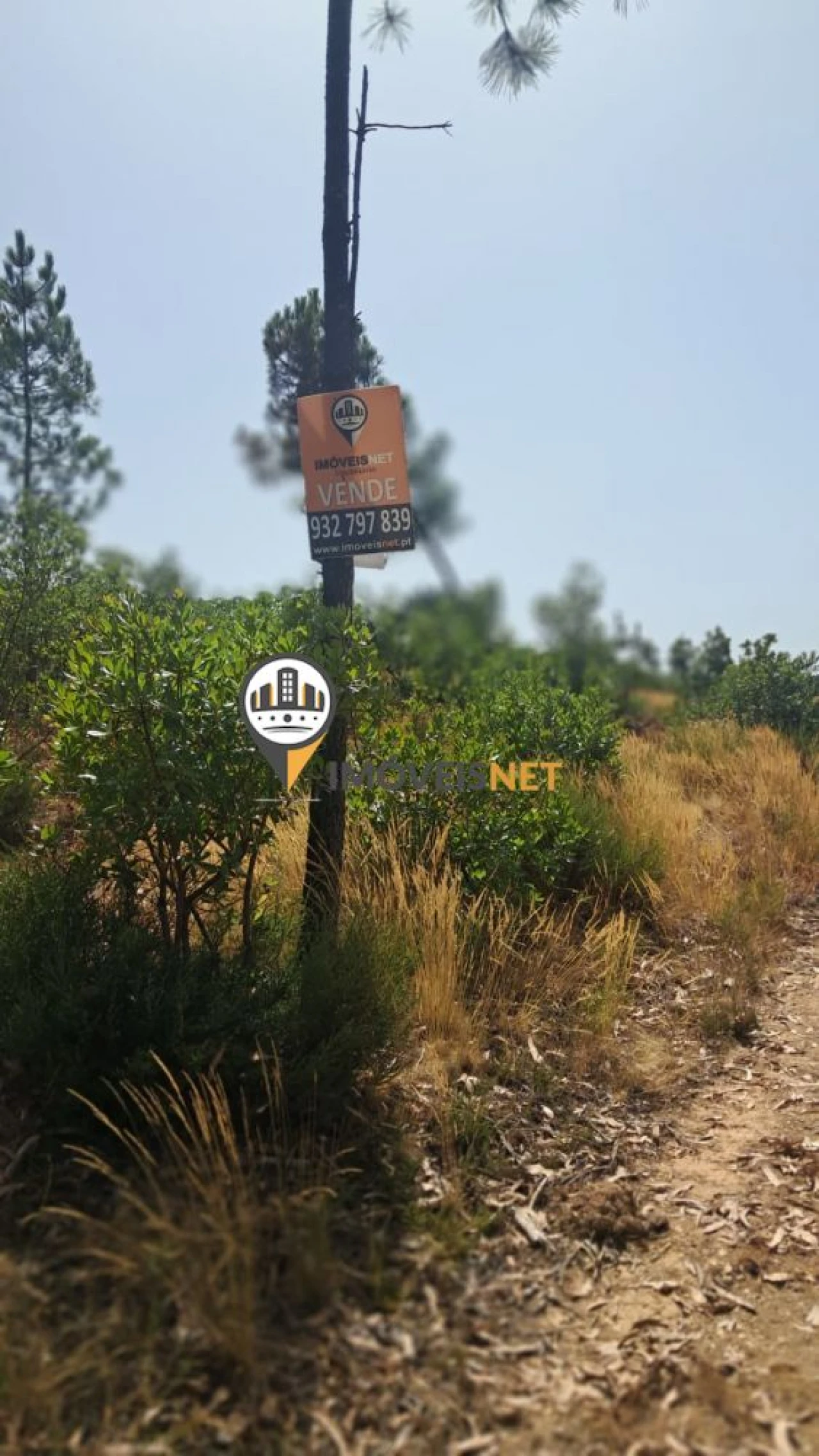 Terreno para Venda em Orvalho Foto 2