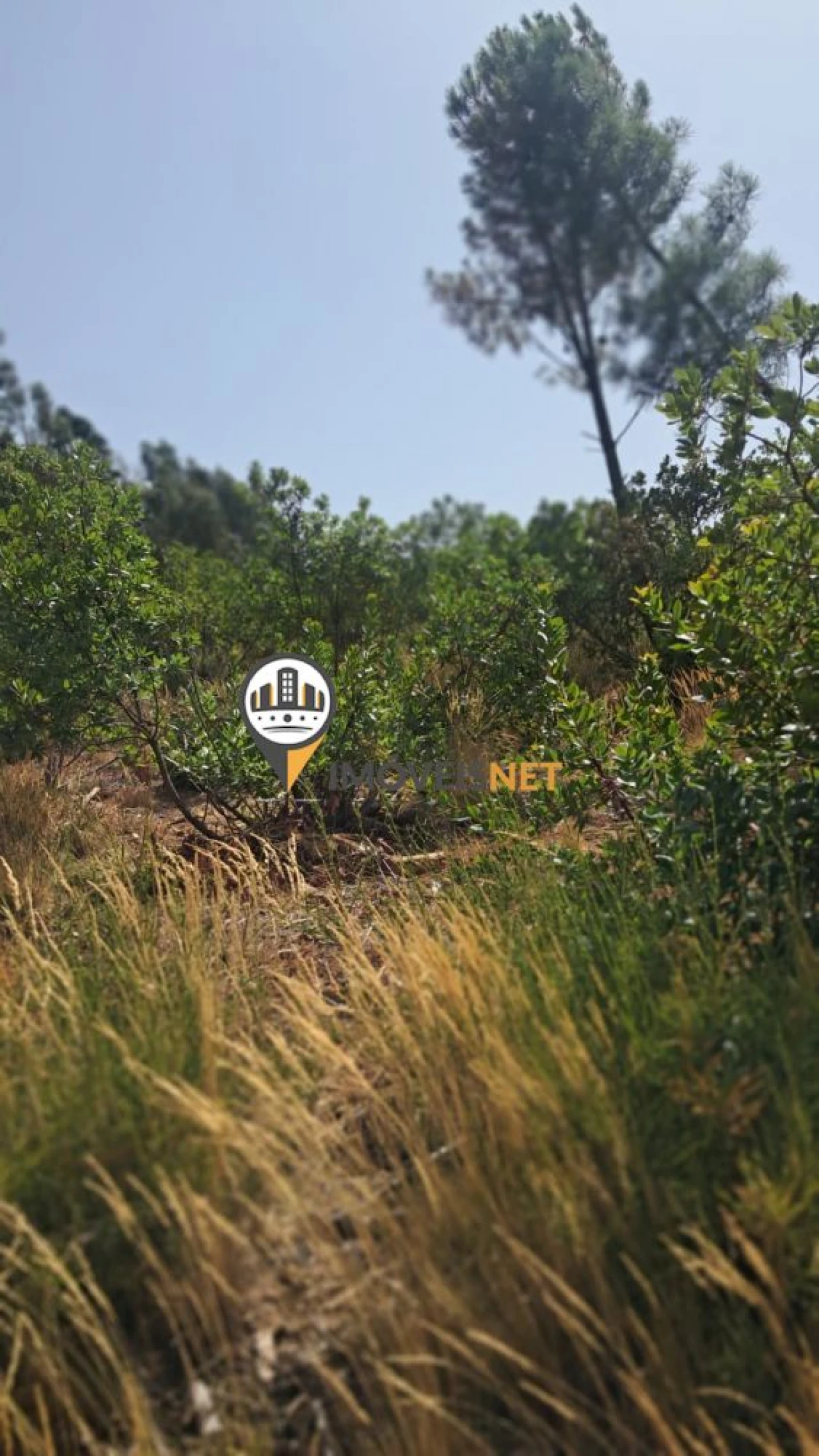 Terreno para Venda em Orvalho Foto 6